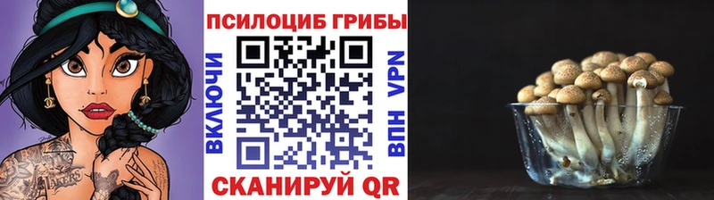 Галлюциногенные грибы Cubensis  хочу   Нижний Тагил 